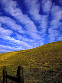 posterbrain - Blue Sky - Contrasts_Modified.jpg