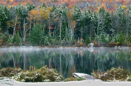posterbrain - Rainforest Falls - Winters_First_Call.jpg