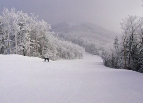 print a poster - Snow Trees Clouds - 187331367321263471124487580231.jpg