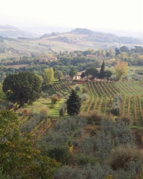 print a poster -  - TuscanCountryside.jpg