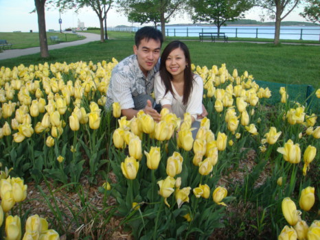 print a poster - Yellow Flowers - DSC07264_1.jpg