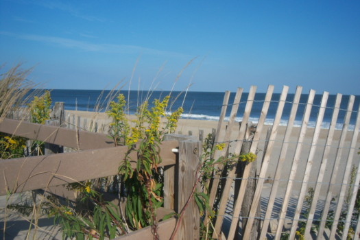 print a poster - Fence - beach_with_fence.jpg