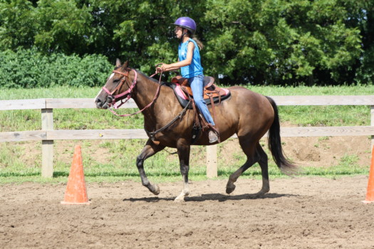 print a poster - Horse Back Riding - IMG_0779.jpg