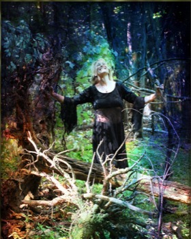 photo -  - mefairy1.jpg
