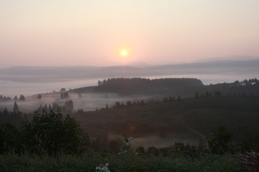 posterbrain - Landscape - 8_5_10sunrise.jpg