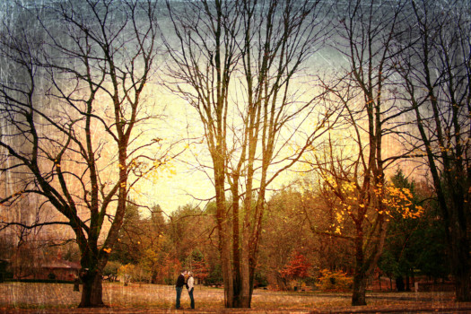 enlargement - Trees - IMG_39561.jpg