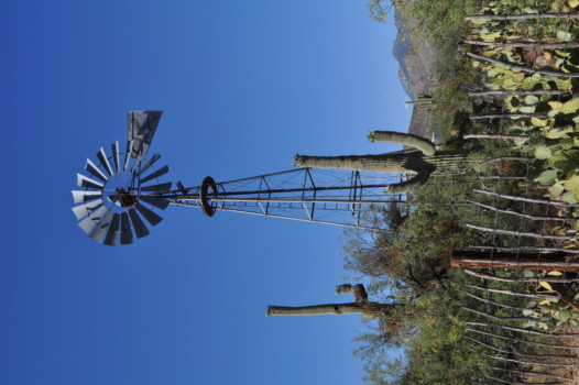 print a poster - Windmill - DSC_0089_2.jpg