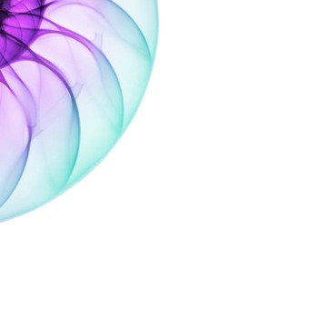 print a poster - Flower - nautilus.jpg