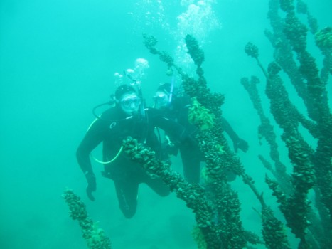poster - Scuba Diving - IMG_5255.jpg