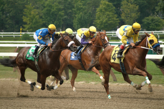 photo - Horse Race - Saratoga_16x24.jpg