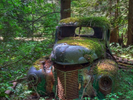 where - Antique Truck - old-truck-forest_18741_990x742.jpg