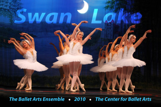 poster printing 24x36 - Swan Lake - swan_lake_2010_34x36.jpg