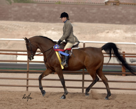 poster - Horse - 942_0116_0993.jpg