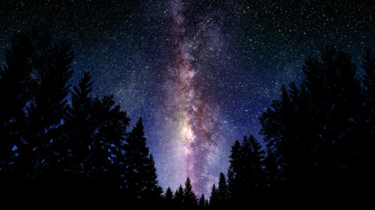 print a poster - Trees - 02376_themilkywaygalaxy_1920x1080.jpg