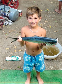 24 x 36 poster printing - Fish - ScannedImage112550038.jpg