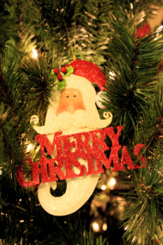 Poster - Merry Christmas Santa Ornament - christmas_2010.jpg