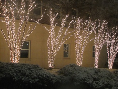 print a poster - Decoration Lights Trees Building - DSCF3049JPG.jpg