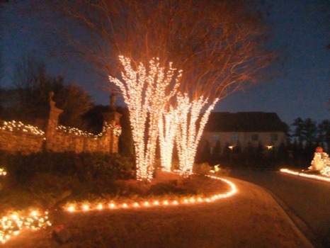 print a poster - Trees Lights Decorated Street - 25JPG.jpg