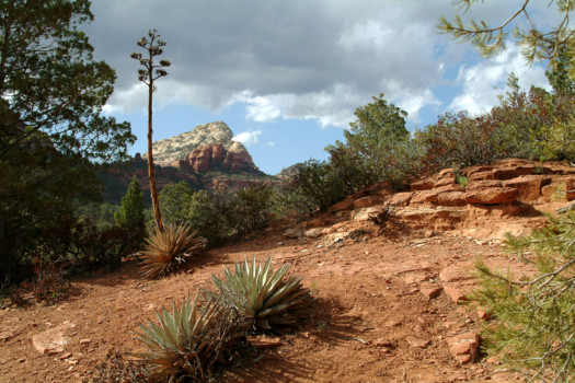 print a poster - Desert Landscape Photo - sedona3.jpg