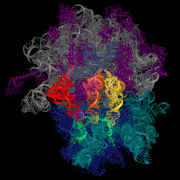 print a poster - Artwork - 010610_12000x12000_AtRNA_sticks.tif