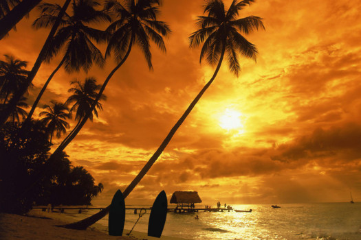 print a poster - Palm Trees Sunset - beachlax2_print.jpg