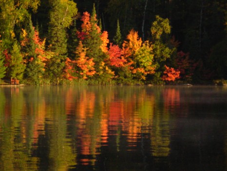 print a poster - Lake With Fall Trees - 0321.jpg