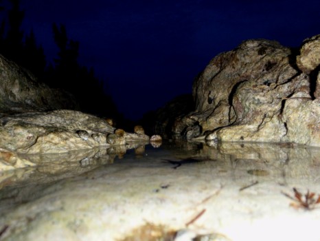 photo poster prints 24 x 36 - Cave - P6062646a.jpg