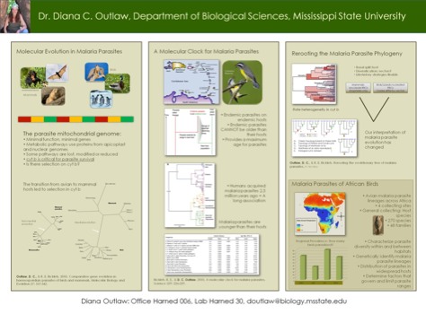 posterbrain - Dr Diana C Outkaw - OutlawLabPoster.tiff