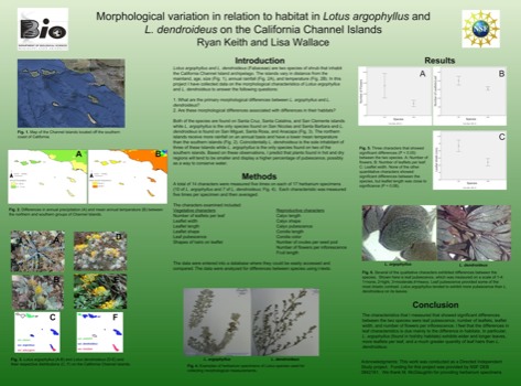posterbrain - Morphological Variation In Relation To Babitat - Ryanposter.pdf