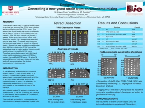 posterbrain - Designer Yeast From Chromosome Mixing - KeShawnPoster4111.pdf