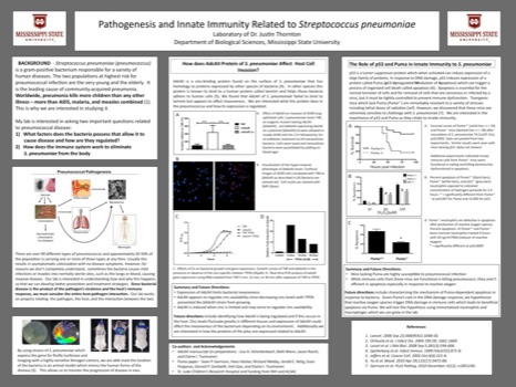 posterbrain - Pathogenesis Poster - Slide1.tif