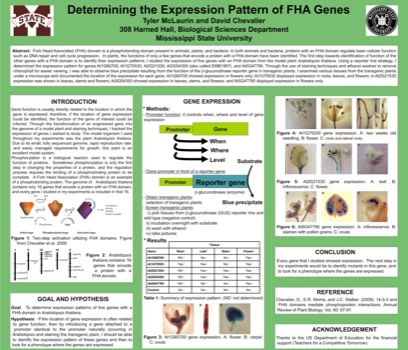 posterbrain - Determining The Expression Pattern Of Fha Genes - Chevalier2.pdf