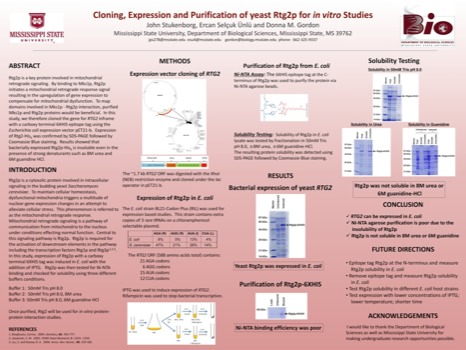 posterbrain - Cloning Expression And Purification - john.pdf
