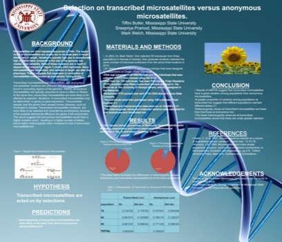 posterbrain - Microsatellites Poster - TiffinisPosterGood.ppt