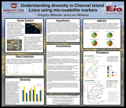 posterbrain - Understanding Diversity In Channel Island - GregPoster2011PDF.pdf