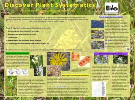 posterbrain - Discover Plant Systematics Poster - Wallace1.pdf