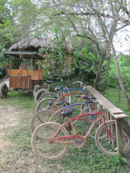 photo - Bike - picture_3_small.tif