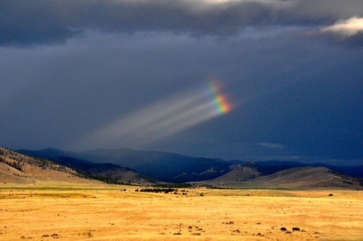 print a poster - Rainbow - DSC0016edited3.jpg