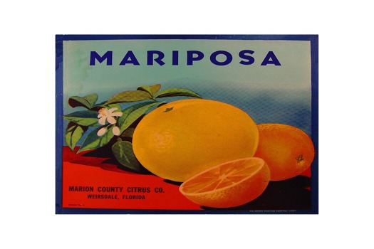 poster - Mariposa - MariposaPB.tif