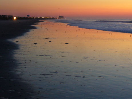 print a poster -  - Sea_Isle_City_2008_011.jpg