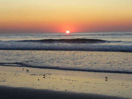 print a poster -  - Sea_Isle_City_2008_048.jpg