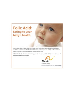 print a poster - The Arc Chester County - arcfolicacidad11nomhidd.pdf