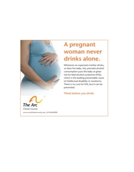 print a poster - a Pregnant Woman Never Drinks Alone - arcfasad11nomhidd.pdf
