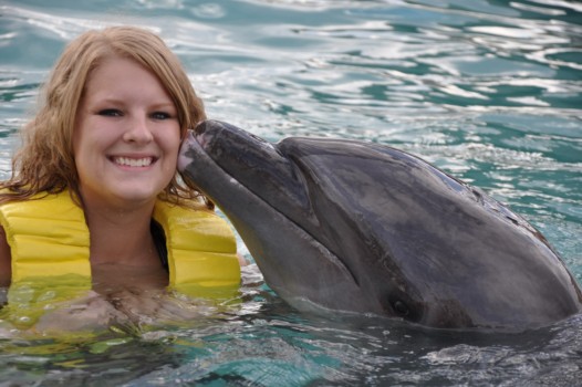 print a poster - Dolphin - 001_1.jpg