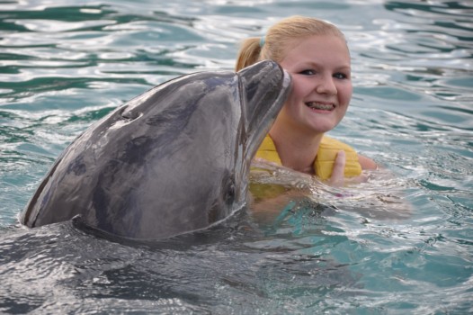 print a poster - Dolphin - 002_2.jpg