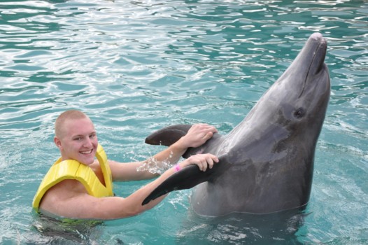 print a poster - Dolphin - 003_3.jpg