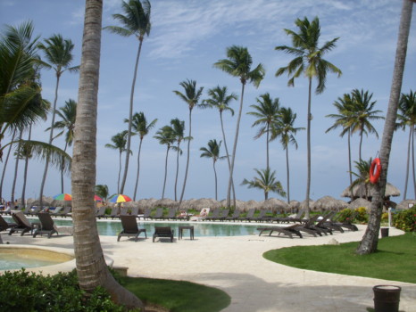 posterbrain - Palm Trees - Franks_Pictures_086.jpg
