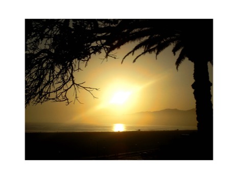 posterbrain -  - CesarSantaMonicaSunsetFinal.jpg