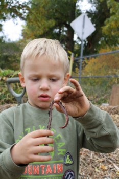 print a poster - Earthworm - 006.jpg