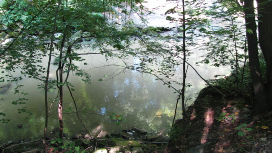 24 x 36 poster printing - Forest - ElyriaFalls_048_1.jpg